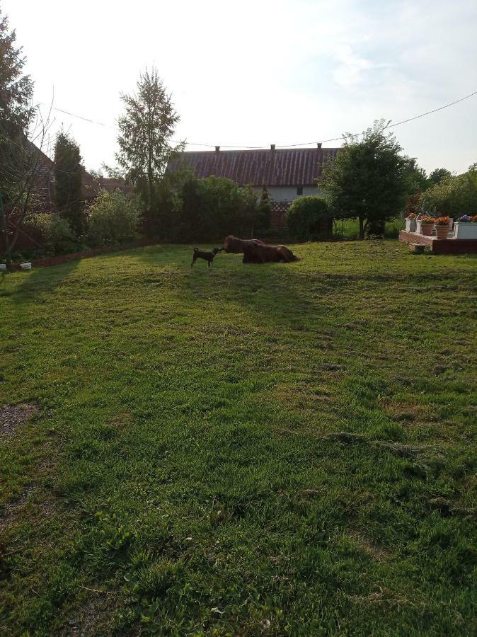 B&B Zrodlana 46 Olszyna  Luaran gambar
